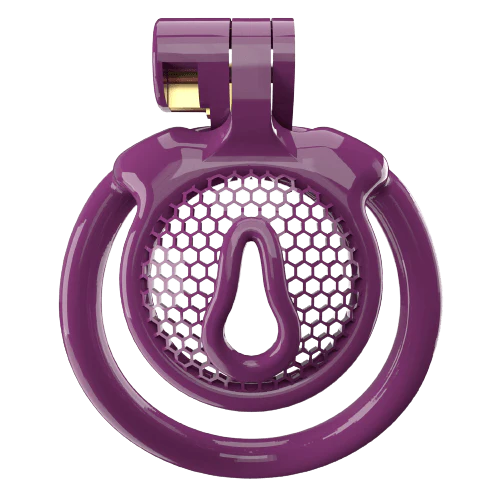 Super Small CX-1 Sissy Chastity Cage With 5 Arc Rings - Image 5