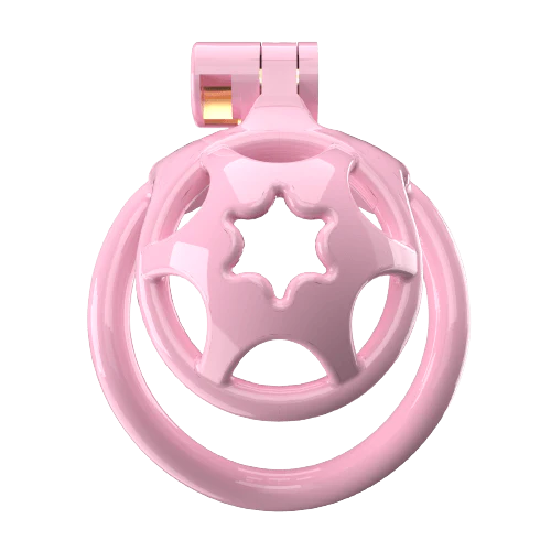 Super Small WX-2 Sissy Chastity Cage With 5 Arc Rings - Image 3