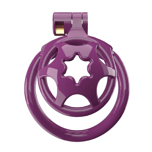 Super Small WX-2 Sissy Chastity Cage With 5 Arc Rings - Image 5