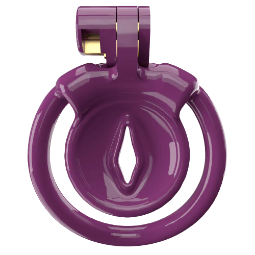 Super Small XX-1 Sissy Chastity Cage With 5 Arc Rings - Image 2