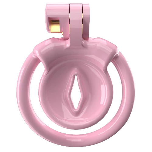 Super Small XX-1 Sissy Chastity Cage With 5 Arc Rings - Image 3