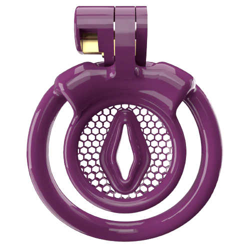 Super Small XX-2 Sissy Chastity Cage With 5 Arc Rings - Image 4
