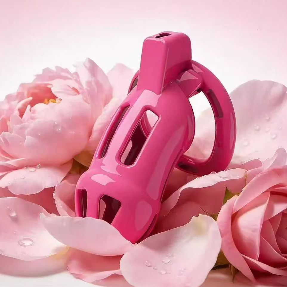 Sweet Powder Commitment Chastity Cage - Image 2