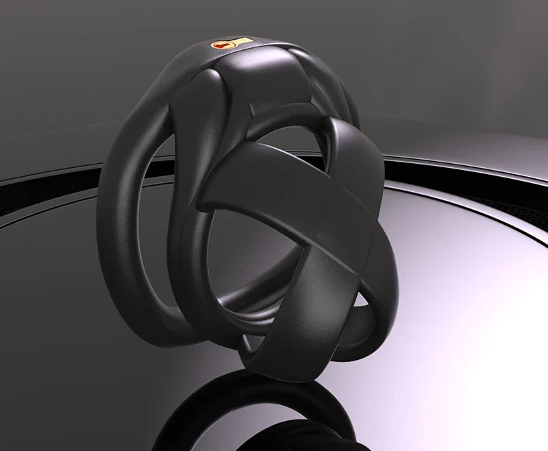 The Model X Chastity  Cage - Image 12