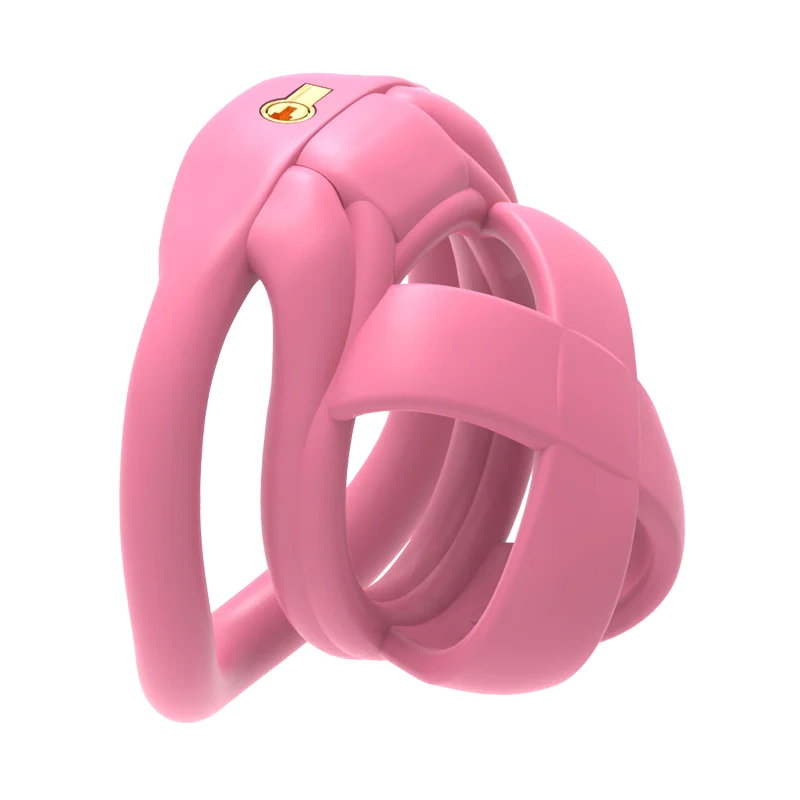 The Model X Chastity  Cage - Image 15