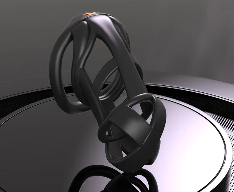 The Model X Chastity  Cage - Image 16