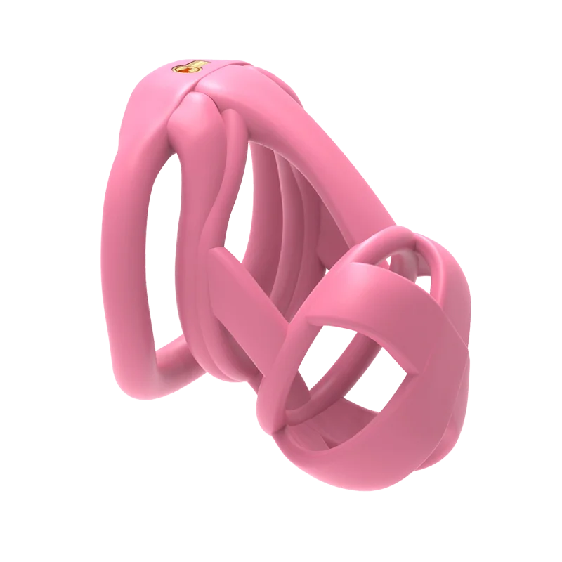 The Model X Chastity  Cage - Image 17