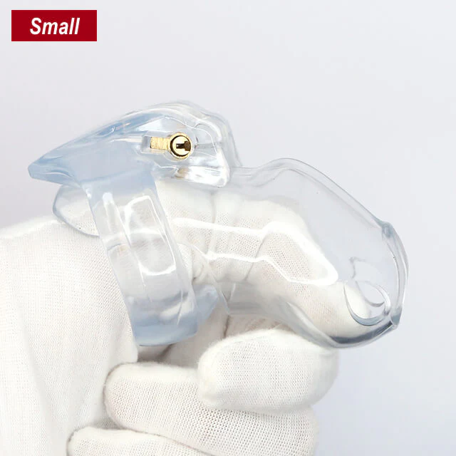 The Small-Sung V4 Chastity Device 3.35 Inches Long - Image 3