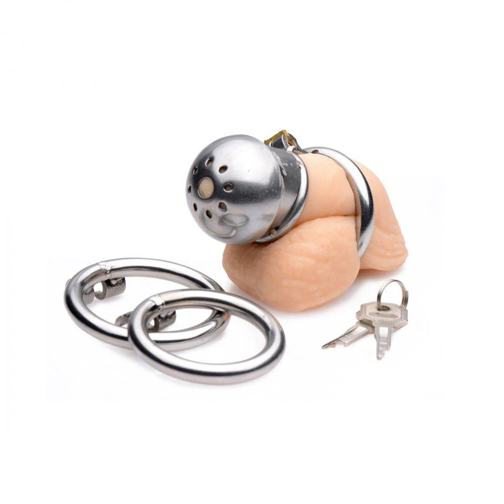 Locking Stainless Steel Confinement Cage - Image 2
